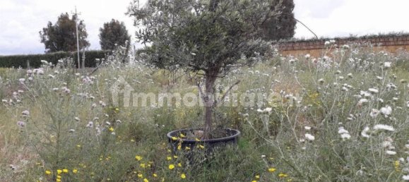 2 bedrooms House in Castelvetrano, Italy No. 84732 6