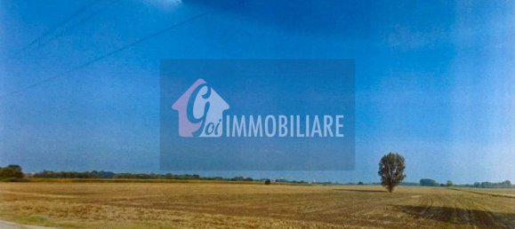  قطعة أرض في Gussola, Italy 98640متر مربع رقم 112916 3