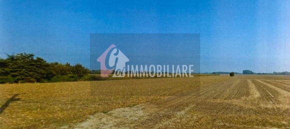  قطعة أرض في Gussola, Italy 98640متر مربع رقم 112916 4