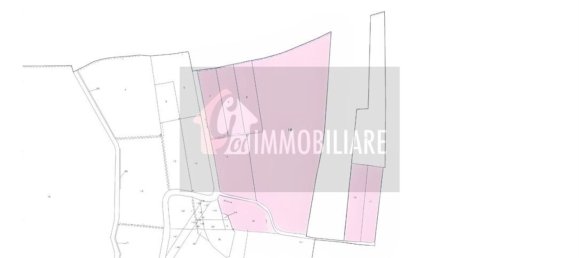  قطعة أرض في Gussola, Italy 98640متر مربع رقم 112916 7