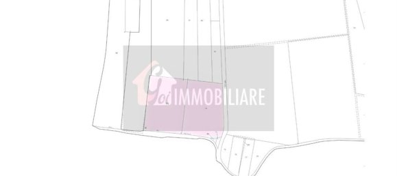  قطعة أرض في Gussola, Italy 98640متر مربع رقم 112916 5