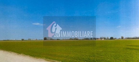  قطعة أرض في Gussola, Italy 98640متر مربع رقم 112916 2