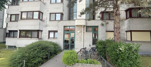 3 bedrooms Apartment in Wiener Neustadt, Austria No. 129524 26