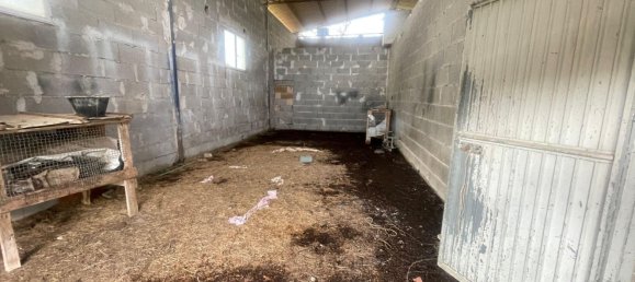 10غرفة فيلا في Vejano, Italy رقم 209844 25