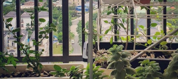 2 bedrooms Apartment in Thu Duc, Vietnam No. 16304 7