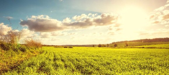 2 chambres Maison à Sainte-Maure-de-Touraine, France No. 329756 3