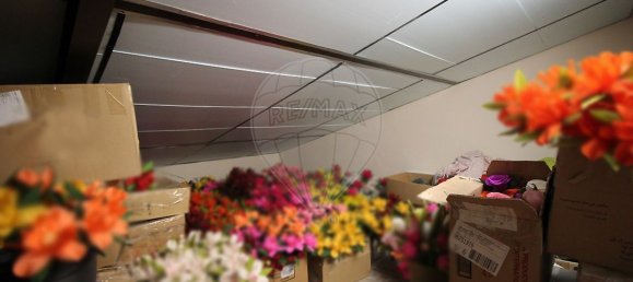 3 غرف نوم منزل في Campo Maior, Portugal رقم 22255 27