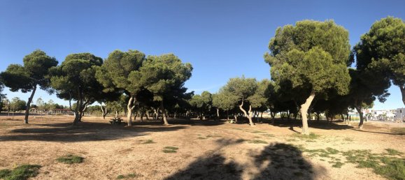 3 bedrooms Bungalow in Santiago de la Ribera, Spain No. 7072 21