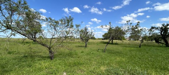 2 chambres Maison à Le Magny, France No. 69292 50