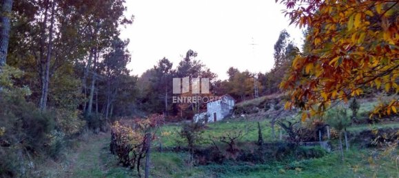 1 bedroom House in Baiao, Portugal No. 55722 9