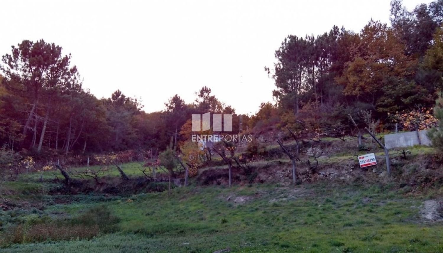 1 bedroom House in Baiao, Portugal No. 55722