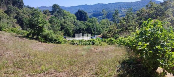 1 bedroom House in Baiao, Portugal No. 55722 15