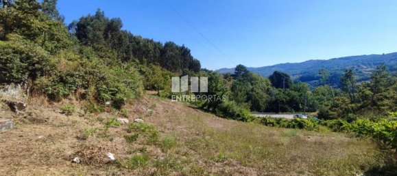 1 bedroom House in Baiao, Portugal No. 55722 21