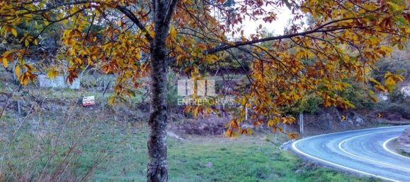 1 bedroom House in Baiao, Portugal No. 55722 3