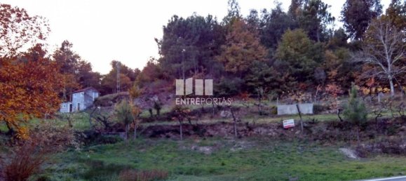 1 bedroom House in Baiao, Portugal No. 55722 4