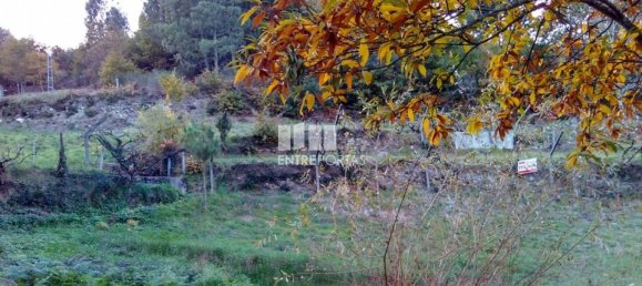 1 bedroom House in Baiao, Portugal No. 55722 11