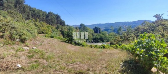 1 bedroom House in Baiao, Portugal No. 55722 5