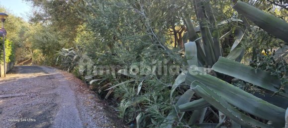 3 bedrooms Villa in Piombino, Italy No. 354580 14