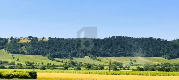  Land in Donnerskirchen, Austria No. 249245 2