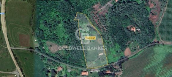 4-salle Maison à Valentano, Italy No. 135638 13