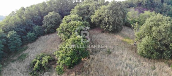 4-salle Maison à Valentano, Italy No. 135638 9