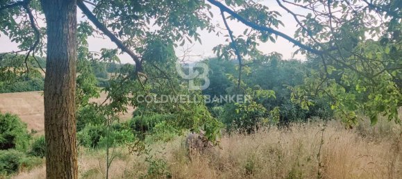 4-salle Maison à Valentano, Italy No. 135638 7