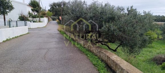 Terreno em São Brás de Alportel, Portugal 450 m² N.º 89803 2