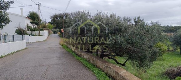 Terreno em São Brás de Alportel, Portugal 450 m² N.º 89803 3