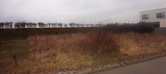 Terreno en Parndorf, Austria No. 242997 3