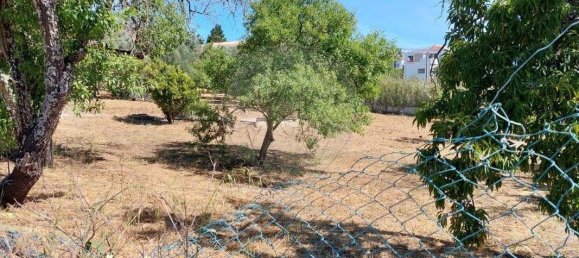 Terreno de 3 dormitorios en Odiaxere, Portugal No. 213541 9