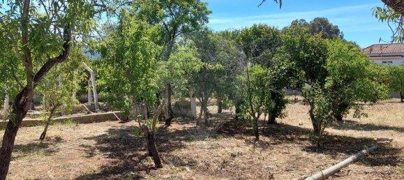 Terreno de 3 dormitorios en Odiaxere, Portugal No. 213541 10