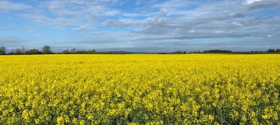 4 bedrooms Townhouse in Demmin, Germany No. 289817 39