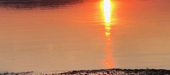 4 bedrooms Townhouse in Demmin, Germany No. 289817 40