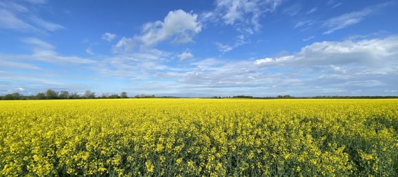 4 bedrooms Townhouse in Demmin, Germany No. 289817 11