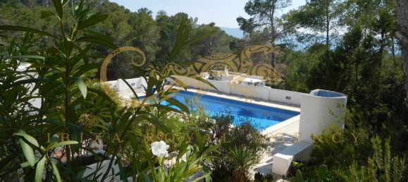 5 bedrooms Villa in San Antonio De Portmany, Spain No. 901 10