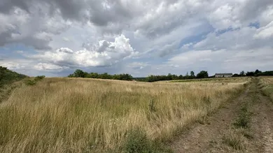  Land in Ringelsdorf-Niederabsdorf, Austria No. 255404