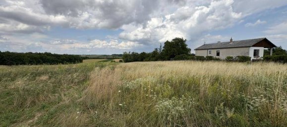  Land in Ringelsdorf-Niederabsdorf, Austria No. 255404 4