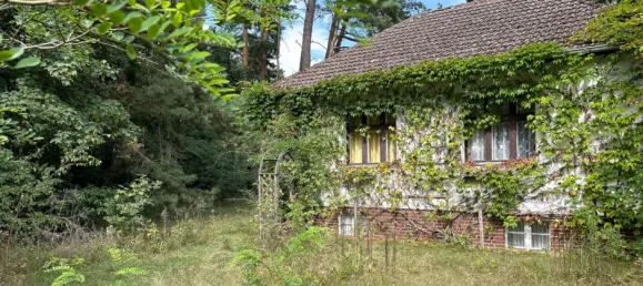 2900m² Land in Potsdam-Mittelmark, Germany No. 323579 26