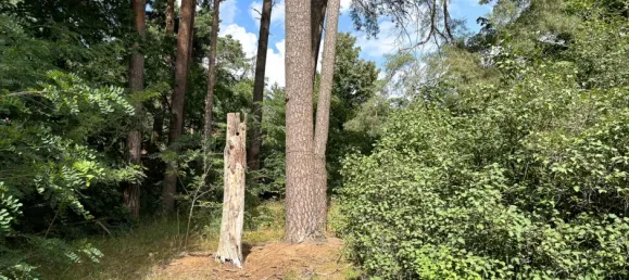 2900m² Land in Potsdam-Mittelmark, Germany No. 323579 36