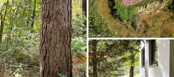 2900m² Land in Potsdam-Mittelmark, Germany No. 323579 9