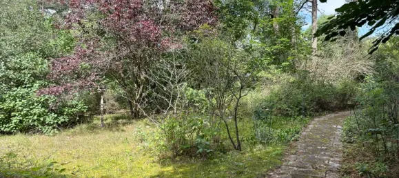 2900m² Land in Potsdam-Mittelmark, Germany No. 323579 8