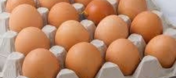 Propiedad comercial en Monteprandone, Italy 15500 m² No. 148094 3