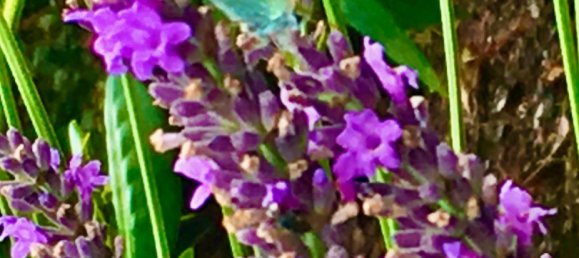 Таунхаус с 5 спальнями в Мерциг-Вадерн, Германия № 352092 17