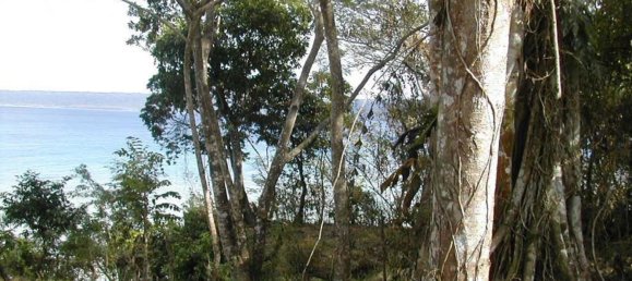  قطعة أرض في Port-Vila, Vanuatu 1600متر مربع رقم 126 3