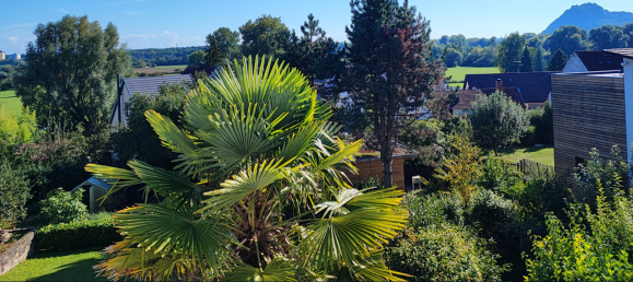 Edifício de 12 divisões em Karlsruhe, Germany N.º 43782 2