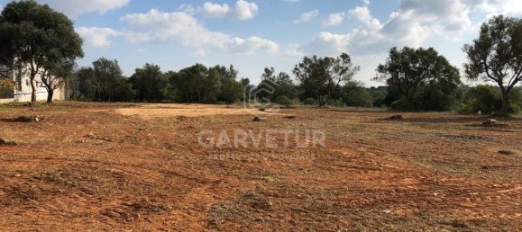  قطعة أرض في Almancil, Portugal 6465متر مربع رقم 146008 17