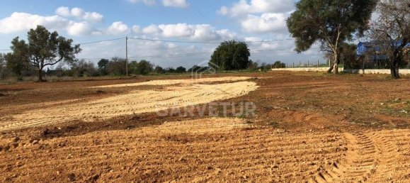  قطعة أرض في Almancil, Portugal 6465متر مربع رقم 146008 12