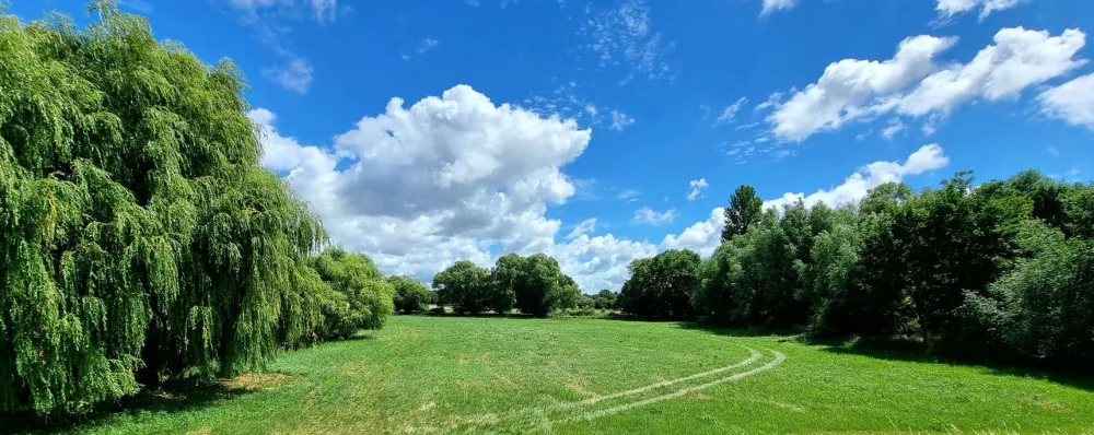 Terrain à Gifhorn, Germany 320m² No. 149245