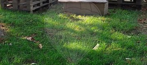 5 bedrooms House in Santarem, Portugal No. 28046 4