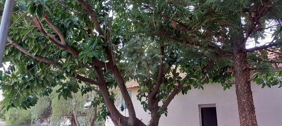 5 bedrooms House in Santarem, Portugal No. 28046 19